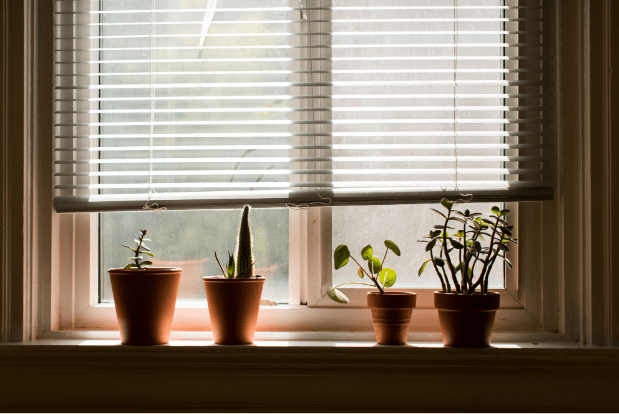 Blending Form and Function: How Blinds Enhance Your Home Interior Design